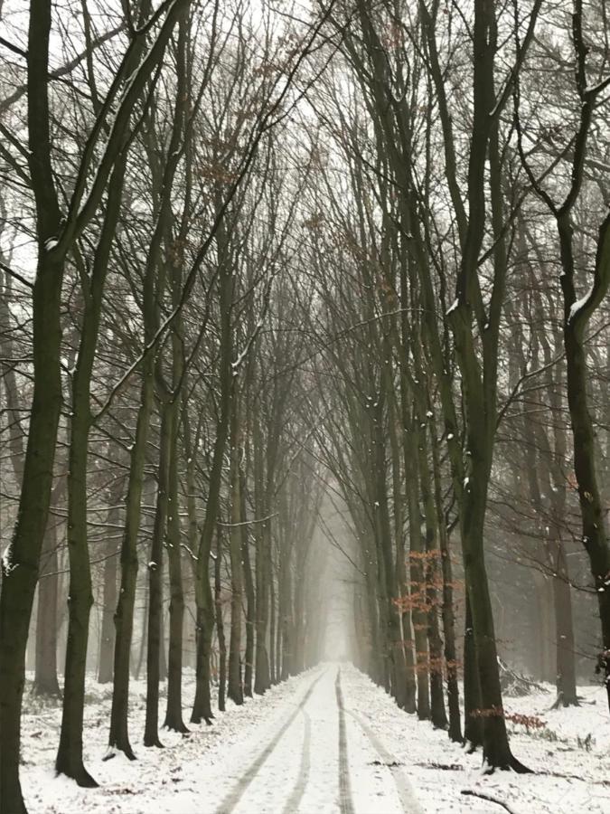 B&B 'Het Gripshuis' Vught Bagian luar foto