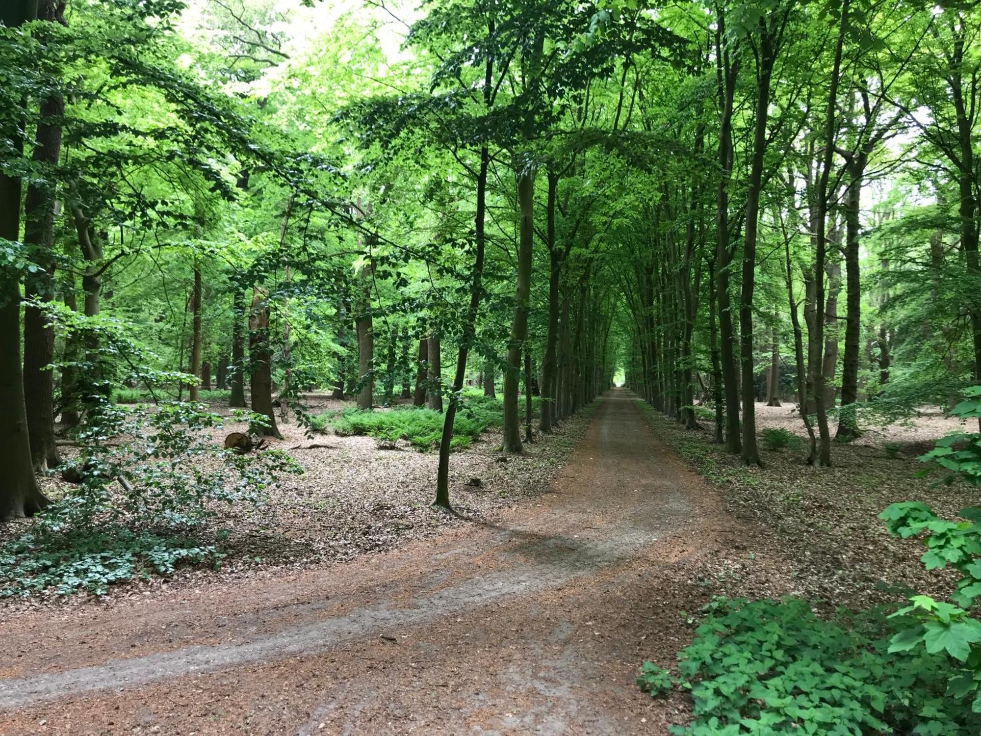 B&B 'Het Gripshuis' Vught Bagian luar foto